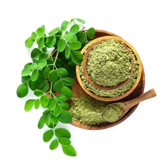 What is moringa oleifera and how it supports plant-based nutrition