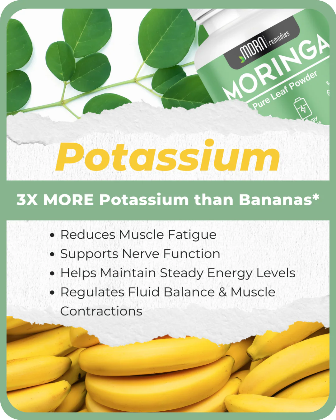 What is moringa plant nutrition