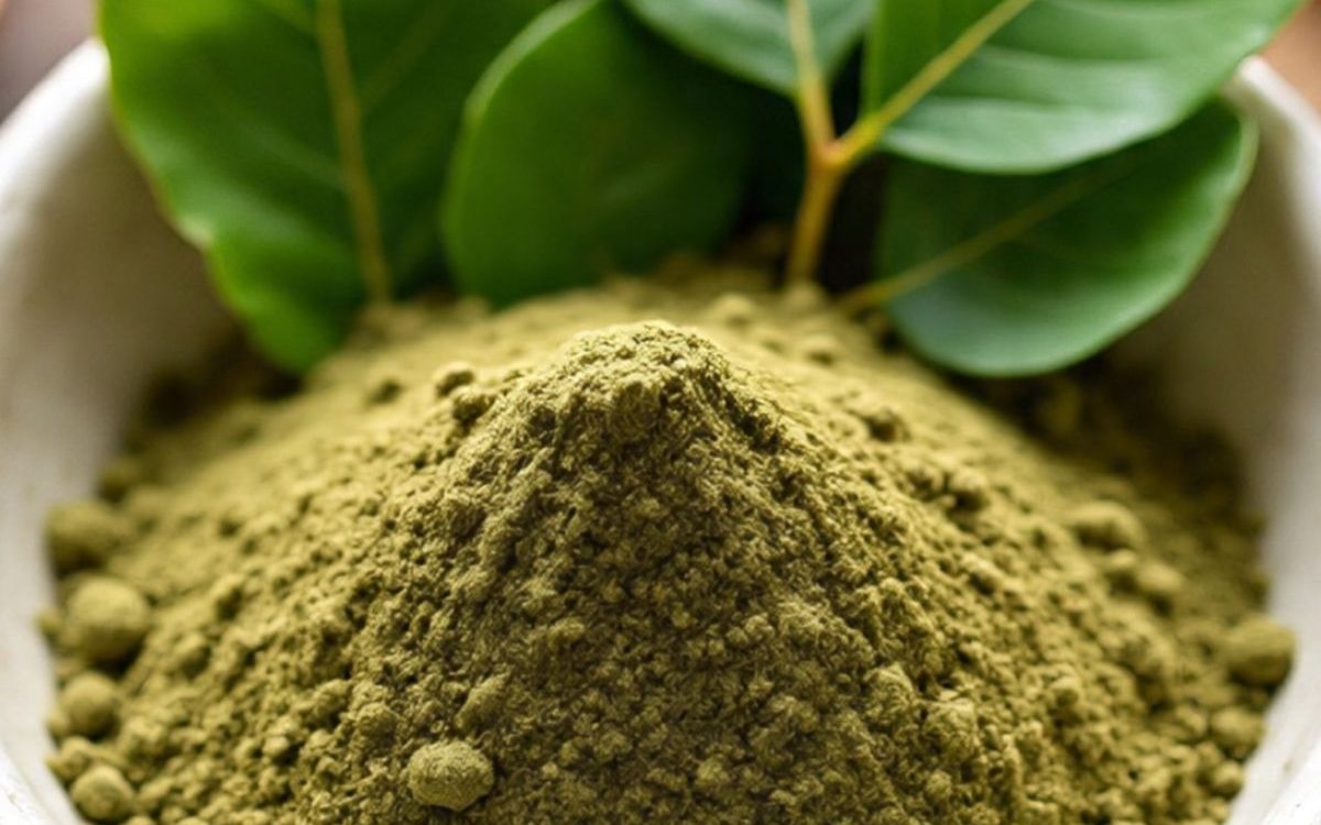 Moringa beginner plant-based nutrition guide