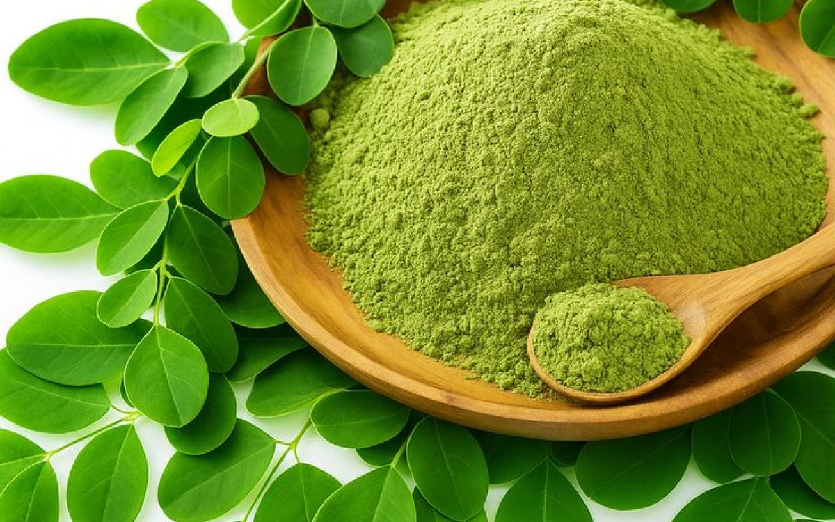 Moringa plant nutritional profile explained