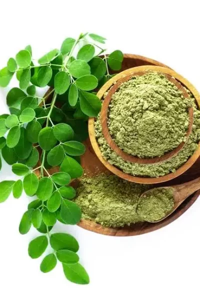 What is moringa oleifera and how it supports plant-based nutrition