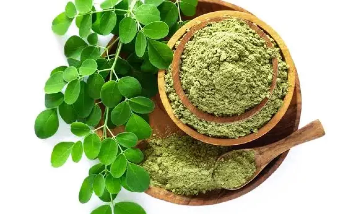What is moringa oleifera and how it supports plant-based nutrition